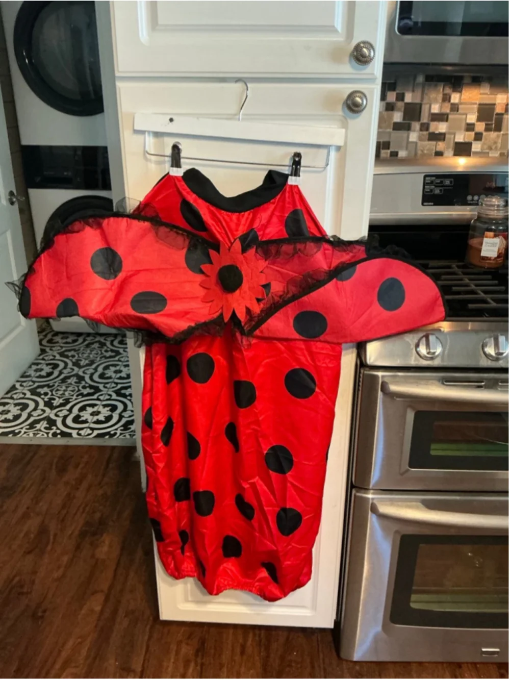New 5 Piece Lady Bug Adult Costume